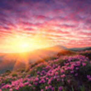 Meet your Posher, Mericia t